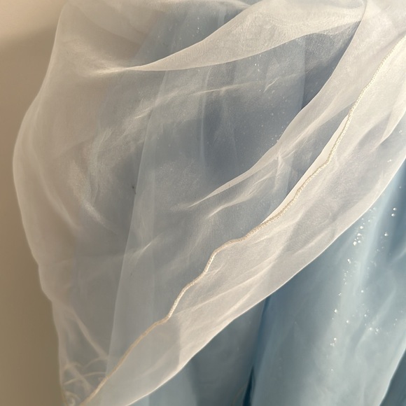 Cinderella Costume - Picture 8 of 10